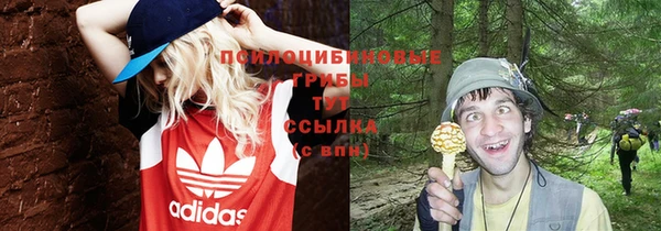 прущая мука Верея