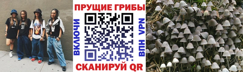 Галлюциногенные грибы мухоморы  Купить закладки  Буинск 
